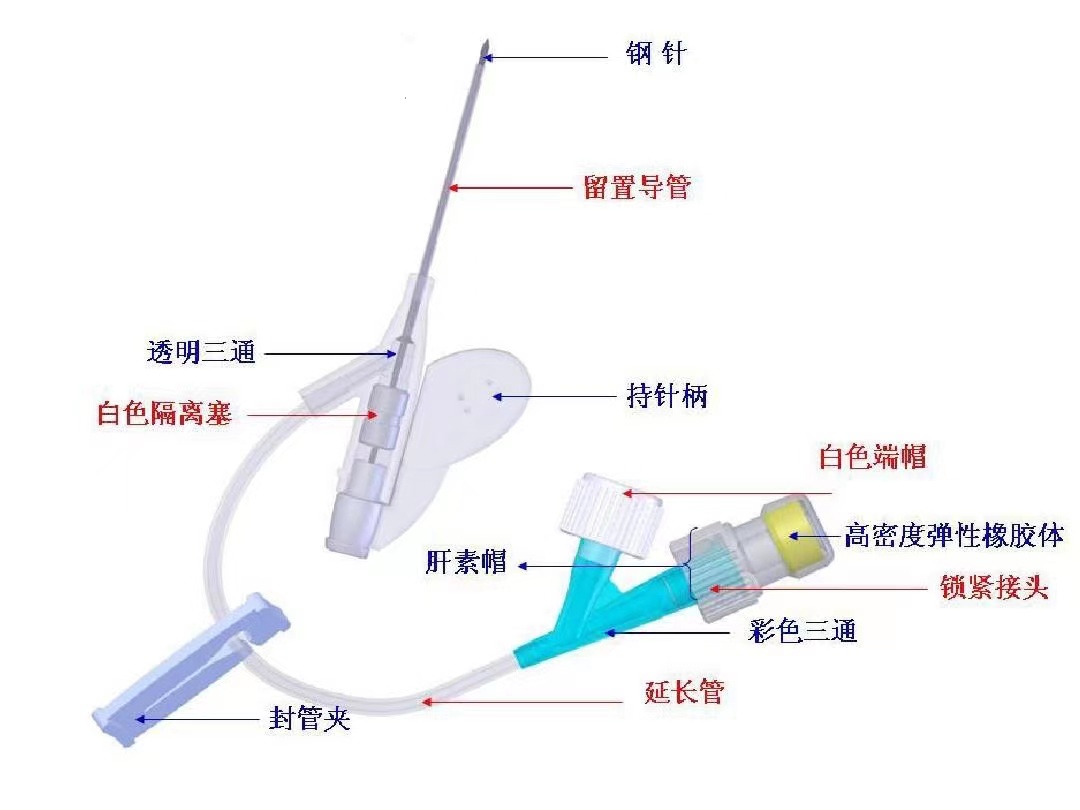 圖片